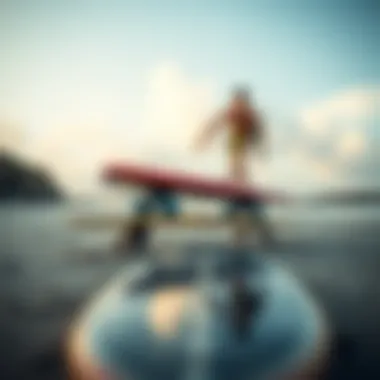 Exploring Various Balance Board Types Different types of balance boards for training