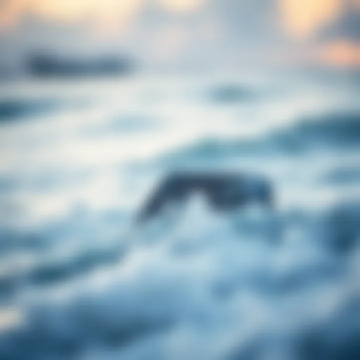 Advanced sound technology device playing ocean sounds