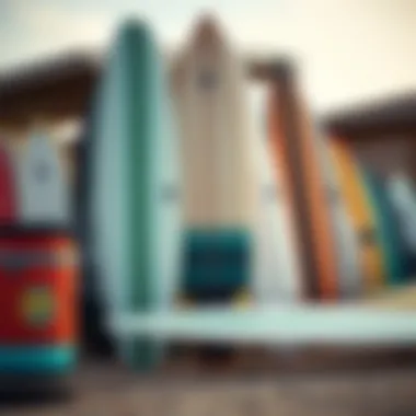 Selection of Custom Skimboards Variety of custom skimboards displayed for selection