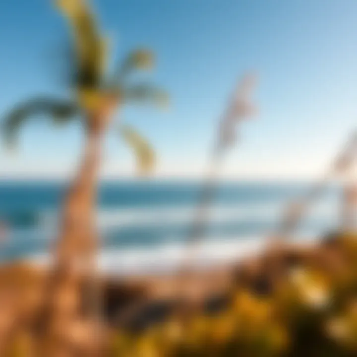 Breathtaking Ocean View from Volcom House Breathtaking ocean view from Volcom house