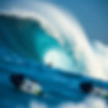 Merging Surf Culture with Ocean Sustainability An artistic depiction of surf culture and ocean conservation