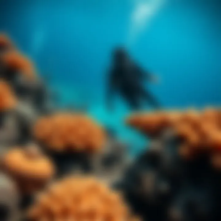 Underwater Adventures: Wetsuits Enhancing the Diving Experience Diver exploring vibrant coral reefs in a wetsuit